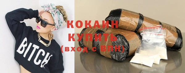 молекула духа Лиски
