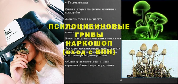 ПСИЛОЦИБИНОВЫЕ ГРИБЫ Ладушкин