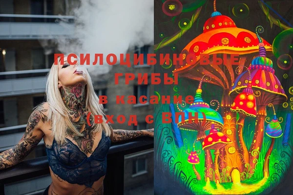 молекула духа Лиски