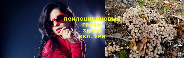 ПСИЛОЦИБИНОВЫЕ ГРИБЫ Ладушкин