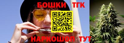 сатива Гатчина
