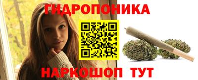 сатива Гатчина