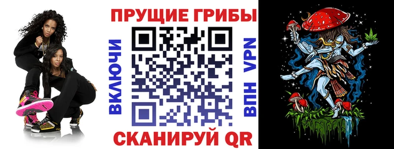 даркнет как зайти  Кубинка  Псилоцибиновые грибы MAGIC MUSHROOMS  где продают наркотики 