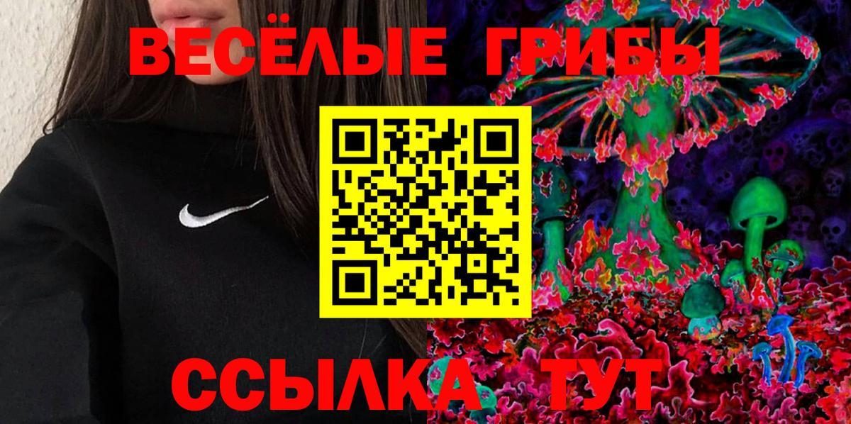 Псилоцибиновые грибы Cubensis  Вход с VPN  Кубинка 